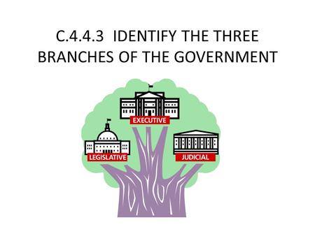 C.4.4.3 IDENTIFY THE THREE BRANCHES OF THE GOVERNMENT.