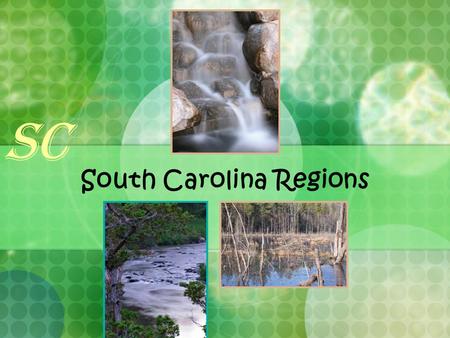 South Carolina Regions
