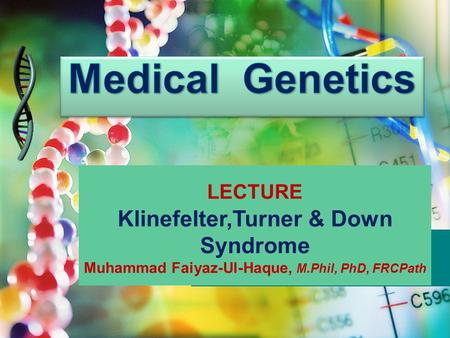 Medical Genetics Klinefelter,Turner & Down Syndrome LECTURE
