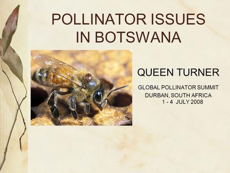 POLLINATOR ISSUES IN BOTSWANA QUEEN TURNER GLOBAL POLLINATOR SUMMIT DURBAN, SOUTH AFRICA 1 - 4 JULY 2008.