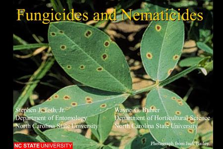 Fungicides and Nematicides Photograph from Jack Bailey. Stephen J. Toth, Jr.Wayne G. Buhler Department of EntomologyDepartment of Horticultural ScienceNorth.
