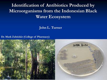 Identification of Antibiotics Produced by Microorganisms from the Indonesian Black Water Ecosystem John L. Turner Professor: Mark Zabriskie (College of.