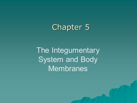 The Integumentary System and Body Membranes