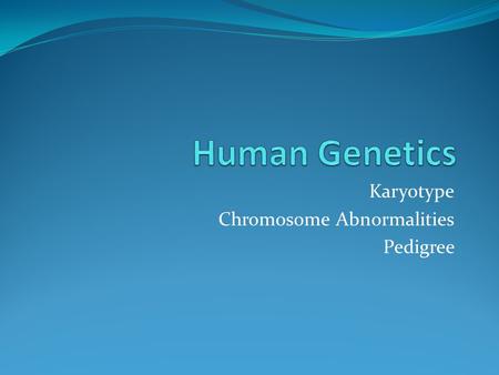 Karyotype Chromosome Abnormalities Pedigree
