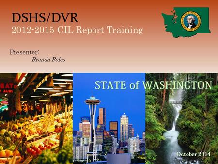DSHS/DVR 2012-2015 CIL Report Training October 2014 Presenter: Brenda Boles.