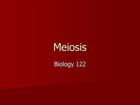 Meiosis Biology 122.