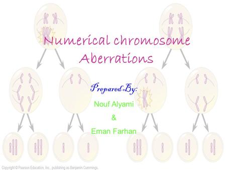 Numerical chromosome Aberrations