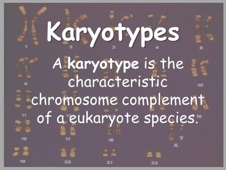 Karyotypes A karyotype is the characteristic chromosome complement of a eukaryote species.