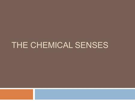 THE CHEMICAL SENSES. Overview of Questions  Why is a dog’s sense of smell so much better than a human’s?  Why does a cold inhibit the ability to taste?