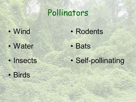 Pollinators Wind Water Insects Birds Rodents Bats Self-pollinating.