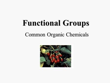 Functional Groups Common Organic Chemicals. Methanol †CH 3 OH Wood alcohol. Indirectly poisonous; ingestion of 50 ml usually fatal.