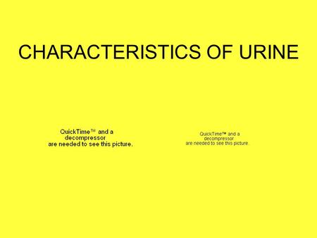 CHARACTERISTICS OF URINE