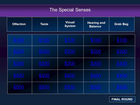The Special Senses $100 $100 $100 $100 $100 $200 $200 $200 $200 $200