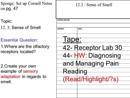 Sponge: Set up Cornell Notes on pg. 47