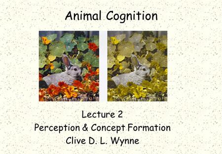 Animal Cognition Lecture 2 Perception & Concept Formation Clive D. L. Wynne.