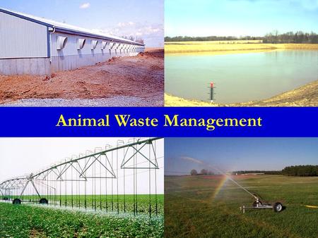 Animal Waste Management. Outline Manure/Waste Characteristics Animal Waste Handling Systems Sampling Animal Waste Management.