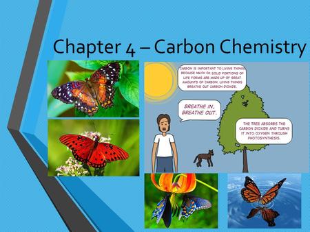Chapter 4 – Carbon Chemistry. Section 1: Properties of Carbon Because of its unique ability to combine in many ways with itself and other elements, carbon.