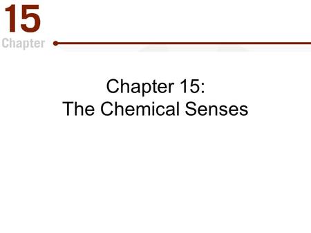 Chapter 15: The Chemical Senses. The Chemical Senses “ Gatekeepers ” of the body which –Identify things that should be consumed for survival. –Detect.