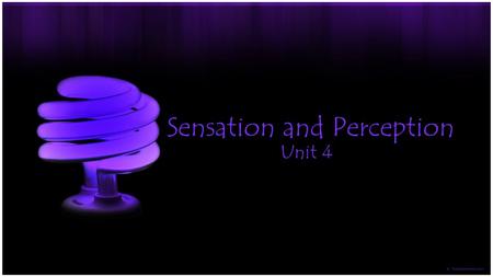 Sensation and Perception Unit 4. The Basics of Sensation -Sensation -Behavior often begins with sensory input -Process by which we receive, transform,