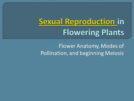 Flower Anatomy, Modes of Pollination, and beginning Meiosis.