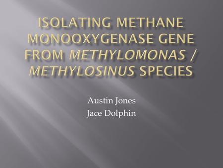Austin Jones Jace Dolphin. Methylosinus trichosporium.