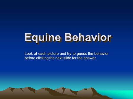 Equine Behavior Look at each picture and try to guess the behavior before clicking the next slide for the answer.
