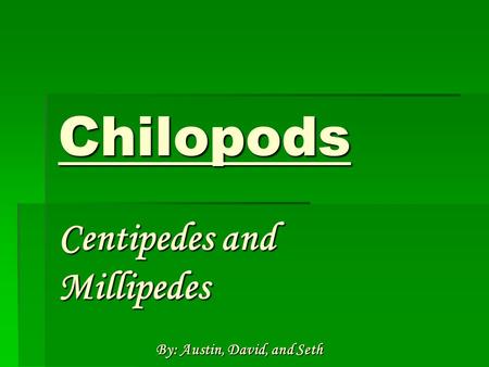 Centipedes and Millipedes By: Austin, David, and Seth
