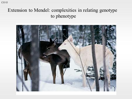 CO 03 Extension to Mendel: complexities in relating genotype to phenotype.