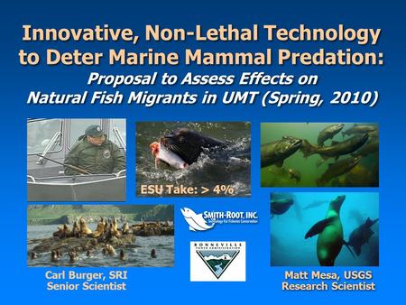 Innovative, Non-Lethal Technology to Deter Marine Mammal Predation: Proposal to Assess Effects on Natural Fish Migrants in UMT (Spring, 2010) Matt Mesa,