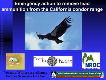 Emergency action to remove lead ammunition from the California condor range Ventana Wilderness Alliance Protecting the Northern Santa Lucia.