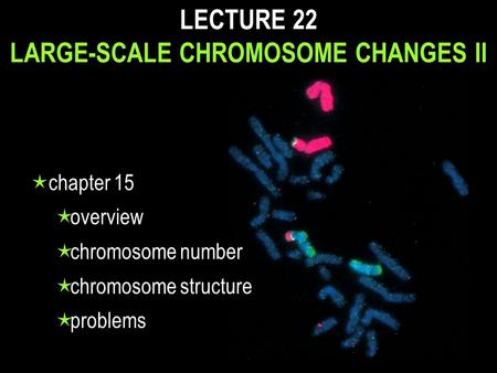 LECTURE 22 LARGE-SCALE CHROMOSOME CHANGES II  chapter 15  overview  chromosome number  chromosome structure  problems.