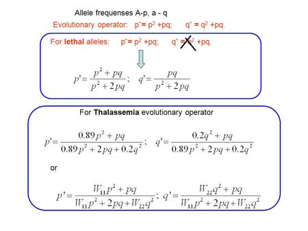 Evolutionary operator: p`= p 2 +pq; q` = q 2 +pq. For lethal alleles: p`= p 2 +pq; q` = q 2 +pq. Allele frequenses A-p, a - q For Thalassemia evolutionary.