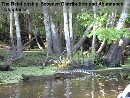 The Relationship Between Distribution and Abundance - Chapter 8