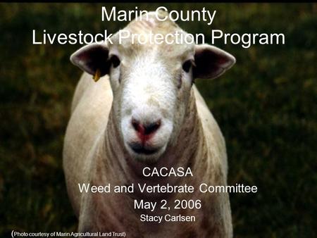 Marin County Livestock Protection Program CACASA Weed and Vertebrate Committee May 2, 2006 Stacy Carlsen ( Photo courtesy of Marin Agricultural Land Trust)