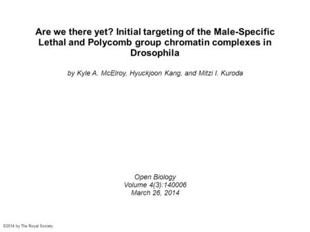 Are we there yet? Initial targeting of the Male-Specific Lethal and Polycomb group chromatin complexes in Drosophila by Kyle A. McElroy, Hyuckjoon Kang,