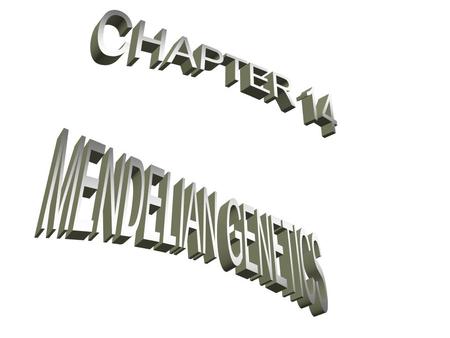 CHAPTER 14 MENDELIAN GENETICS.