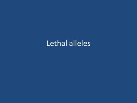 Lethal alleles. What is a lethal allele? Lethal alleles occur when a mutation results in an allele that produces a non-functional version of an essential.