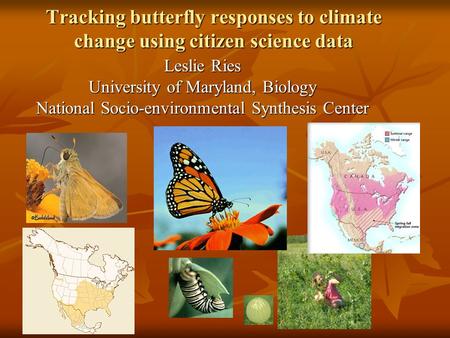 Tracking butterfly responses to climate change using citizen science data Leslie Ries University of Maryland, Biology National Socio-environmental Synthesis.