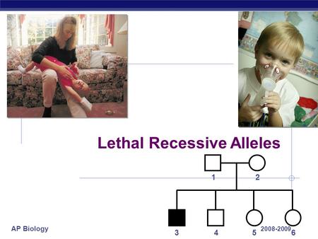 Lethal Recessive Alleles