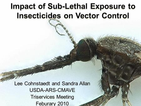 Impact of Sub-Lethal Exposure to Insecticides on Vector Control Lee Cohnstaedt and Sandra Allan USDA-ARS-CMAVE Triservices Meeting Feburary 2010 Lee Cohnstaedt.