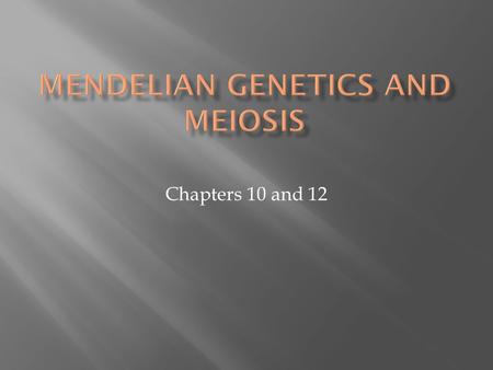 Chapters 10 and 12.  1 st studies of heredity  genetics  Traits  characteristics that are inherited.