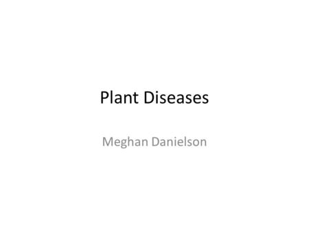 Plant Diseases Meghan Danielson.