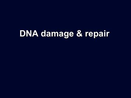 DNA damage & repair.