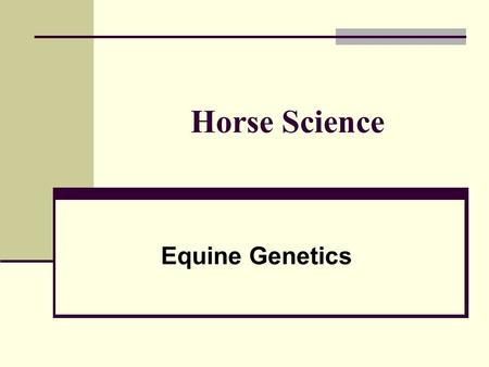 Horse Science Equine Genetics. Introduction Not been utilized as efficiently in horses Primarily for recreation What are horses primarily selected for?