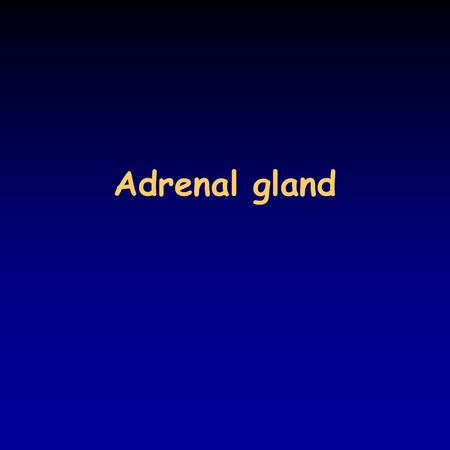 Adrenal gland. Hormones of the adrenal cortex the paired adrenal glands (4-5 g each) are located at the upper pole of the kidneys embedded in adipose.