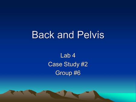 Back and Pelvis Lab 4 Case Study #2 Group #6. Introduction Case Study Client 30 year old female (4 weeks post natal) Experiences pain in her SI region.