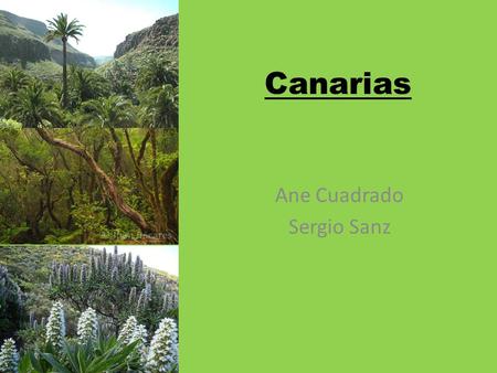 Canarias Ane Cuadrado Sergio Sanz. Situation It’s an archipelago of the Athlantic Ocean It’s located in front of the Northwestern coast of Africa. Está.