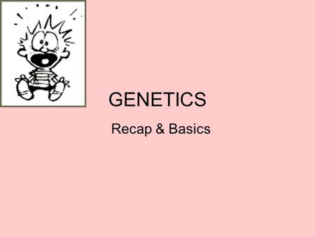 GENETICS Recap & Basics. DNA Structure Function Replication.