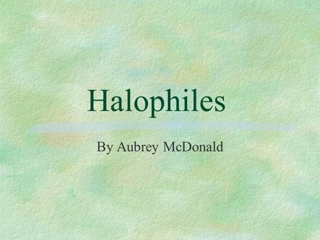 Halophiles By Aubrey McDonald.