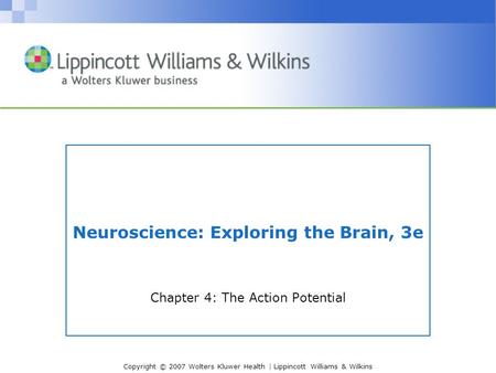 Copyright © 2007 Wolters Kluwer Health | Lippincott Williams & Wilkins Neuroscience: Exploring the Brain, 3e Chapter 4: The Action Potential.